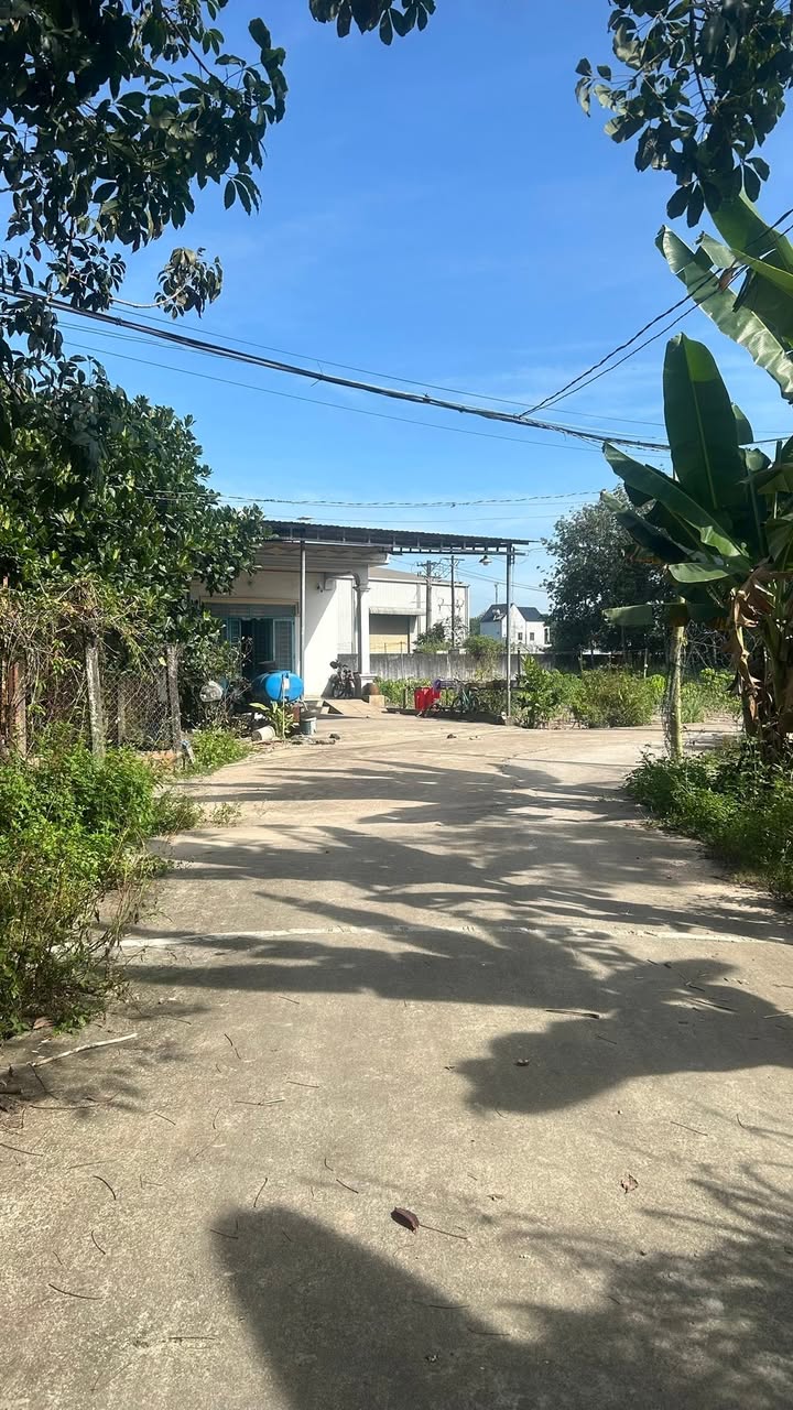 Đất thổ cư 185m² đường Trừ Văn Thố, Bàu Bàng - Giá chỉ từ 800 triệu!