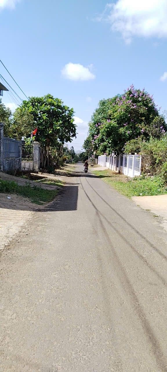 Đất thổ cư siêu đẹp tại Hẻm 332 Tôn Đức Thắng, Pleiku 321.5m² - Giá chỉ 1.9 tỷ!