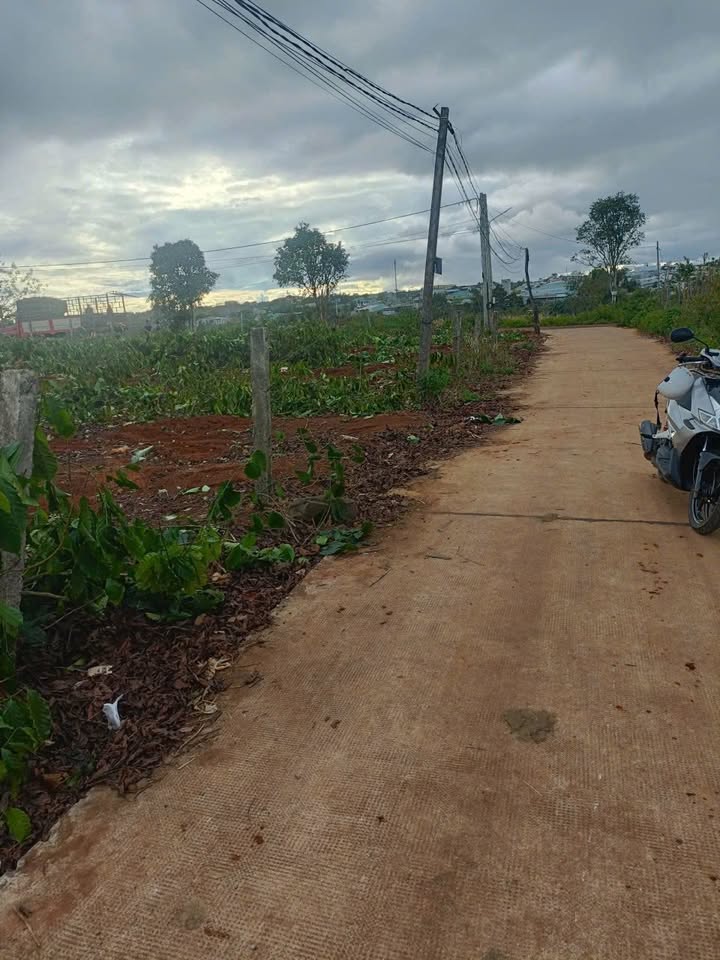 Đất nền liền kề đường Nguyễn Tuân, phường An Phú, Gia Lai - Giá chỉ 600 triệu/ lô