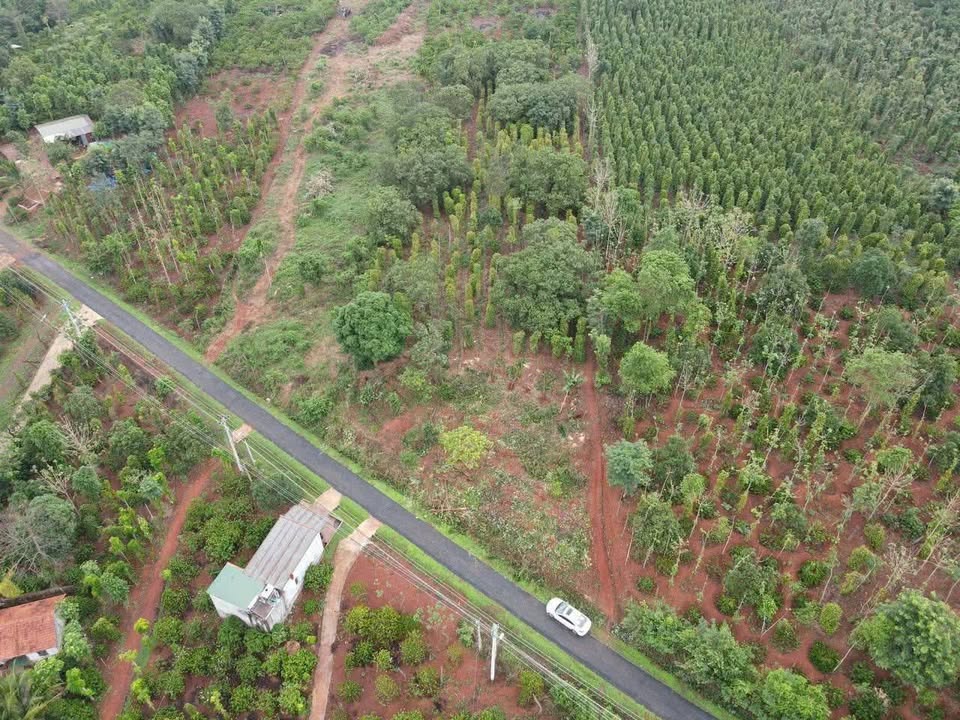 Đất nền Ea Kiết, Cư M'gar, Đắk Lắk 3400m² giá 2 tỷ - Vị trí đắc địa, thuận tiện đầu tư!