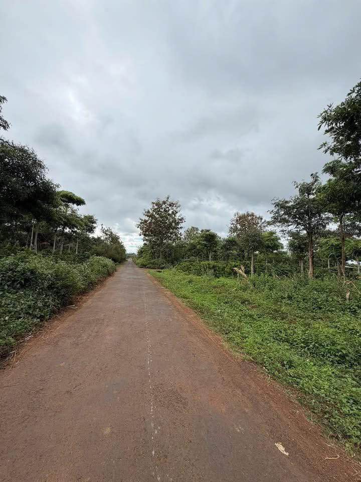 Đất nền Thành Nhất Buôn Ma Thuột 500m² giá 600 triệu - Đầu tư sinh lời lý tưởng!