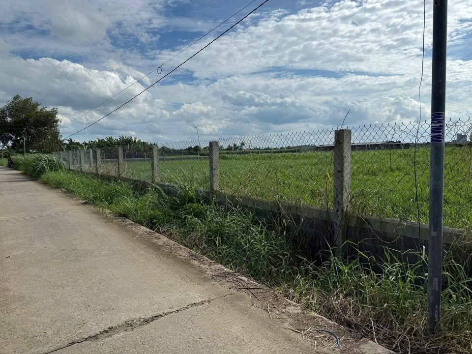 Đất nền mặt tiền Đan Nhị, Thủ Thừa, Long An 8500m² - Cơ hội đầu tư sinh lời!