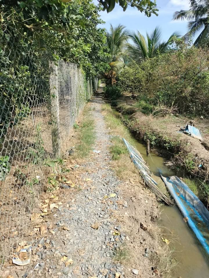 Đất vườn 2.176m² Mỹ Phú Thủ Thừa giá 2 tỷ - View sông Vàm Cỏ