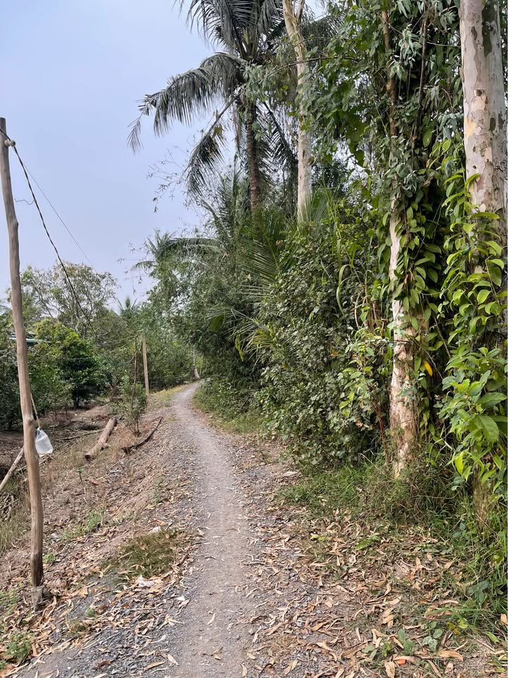 Đất nền 166m² xã Bình Đức, Bến Lức chỉ 620 triệu - Đầu tư sinh lời ngay!