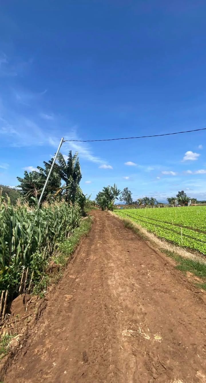 Đất Phú Hội 2479m² giá 1.5 tỷ - Sổ riêng, mặt tiền rộng, đầu tư lý tưởng!