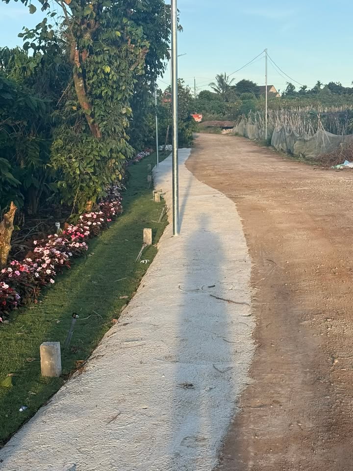 Lô đất Tân An, Tân Hội 155m² giá 680 triệu - Đầu tư sinh lời ngay!