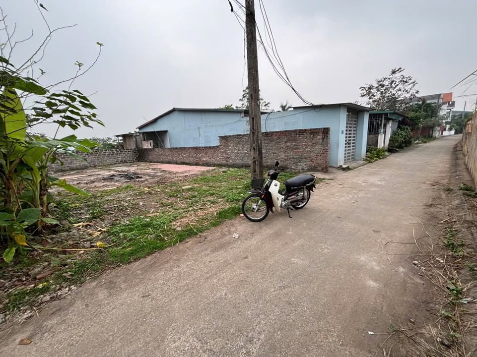 Đất nền chính chủ Khu Hồng Hà, Tiên Cát 67m² giá 1.5 tỷ - Đầu tư sinh lời!