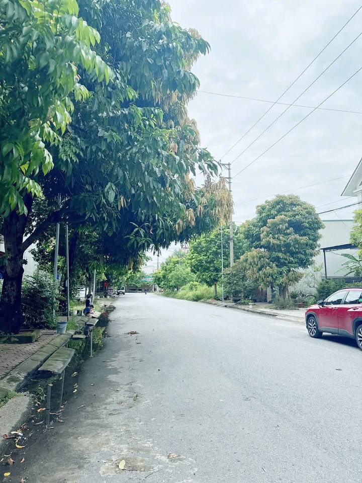 Đất kinh doanh Lê Hữu Chỉnh, Thanh Miếu, Việt Trì 81m² giá 4 tỷ - Đường ô tô tránh nhau!