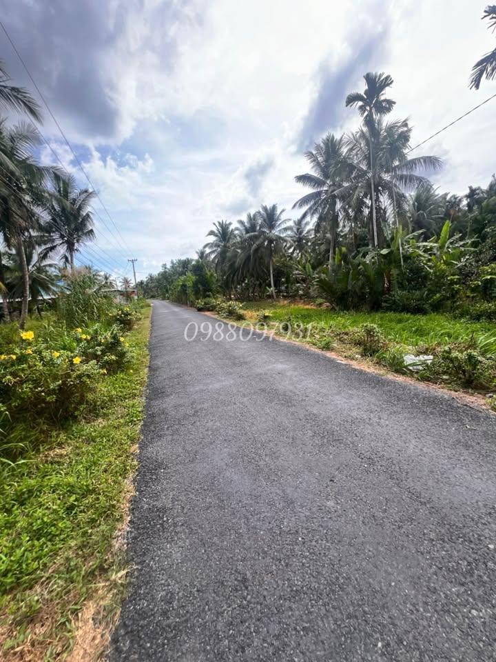 Đất thổ cư 1.000m² mặt tiền đường 4 Thầy Bói, Càng Long giá 1 tỷ - Cơ hội đầu tư tuyệt vời!