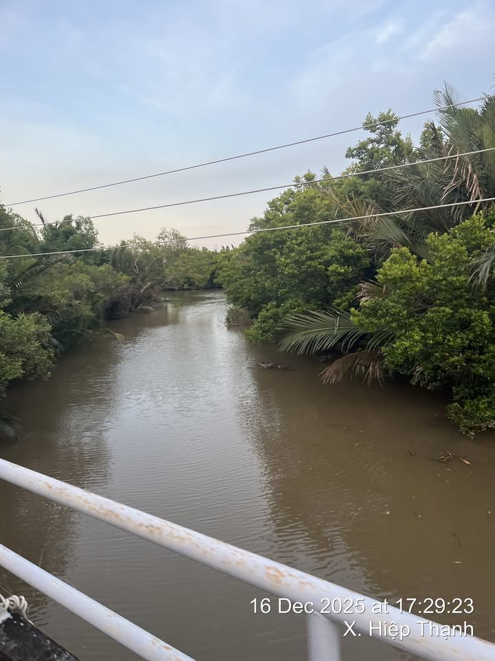 Đất nuôi trồng thủy sản 18500m² tại Hiệp Thạnh - Cơ hội đầu tư hấp dẫn!