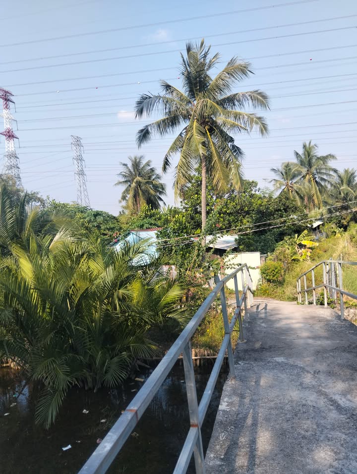 Đất nông nghiệp 4000m² tại Phước Khánh Nhơn Trạch - Giá chỉ 1.44 tỷ VND, cơ hội đầu tư hấp dẫn!