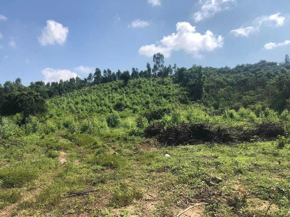 Đất nền Ninh Lộc, Ninh Hòa 1ha giá 500 triệu - Đường rộng, gần biển!