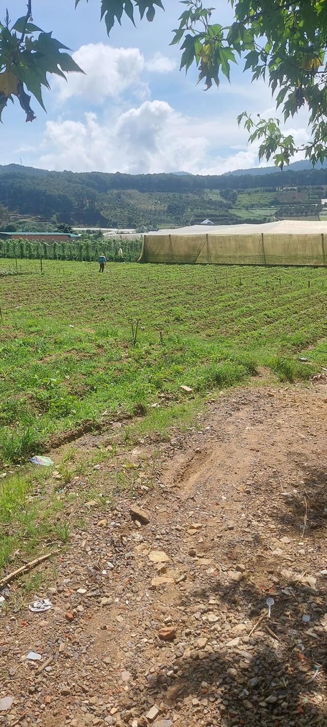 Đất mặt tiền Quốc Lộ 27, Lạc Xuân 3000m² giá 10.9 tỷ - Đầu tư sinh lời ngay!