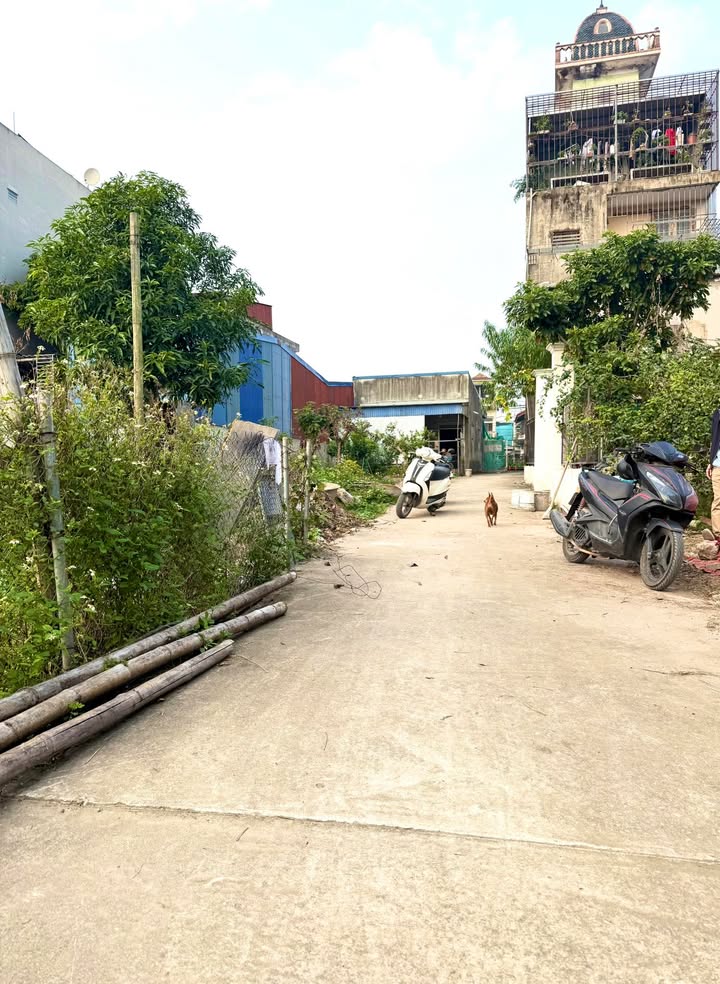 Đất nền 65m² tại TDP 3 Phú Ốc, Đông A, Nam Định giá 1.05 tỷ - Vị trí đẹp, ô tô vào tận nơi!