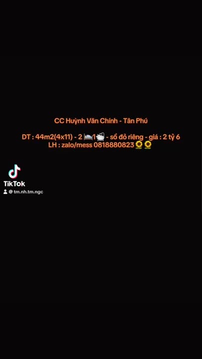 Căn hộ Chung cư Huỳnh Văn Chính Tân Phú 44m² giá 2.6 tỷ - Sổ đỏ riêng