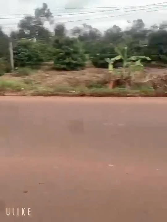 Đất nền Dlyza, Buôn Hồ 1300m² giá chỉ 3.5 tỷ - Cơ hội đầu tư tuyệt vời!