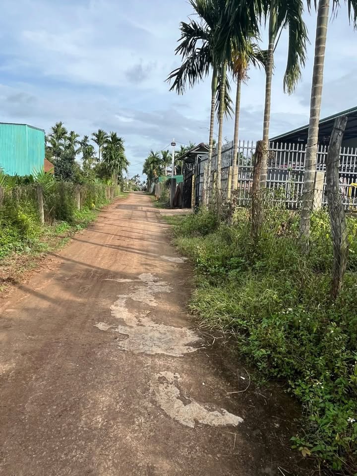 Đất nền Ea Phê 175m² chỉ 400 triệu - Cơ hội đầu tư hiếm có!