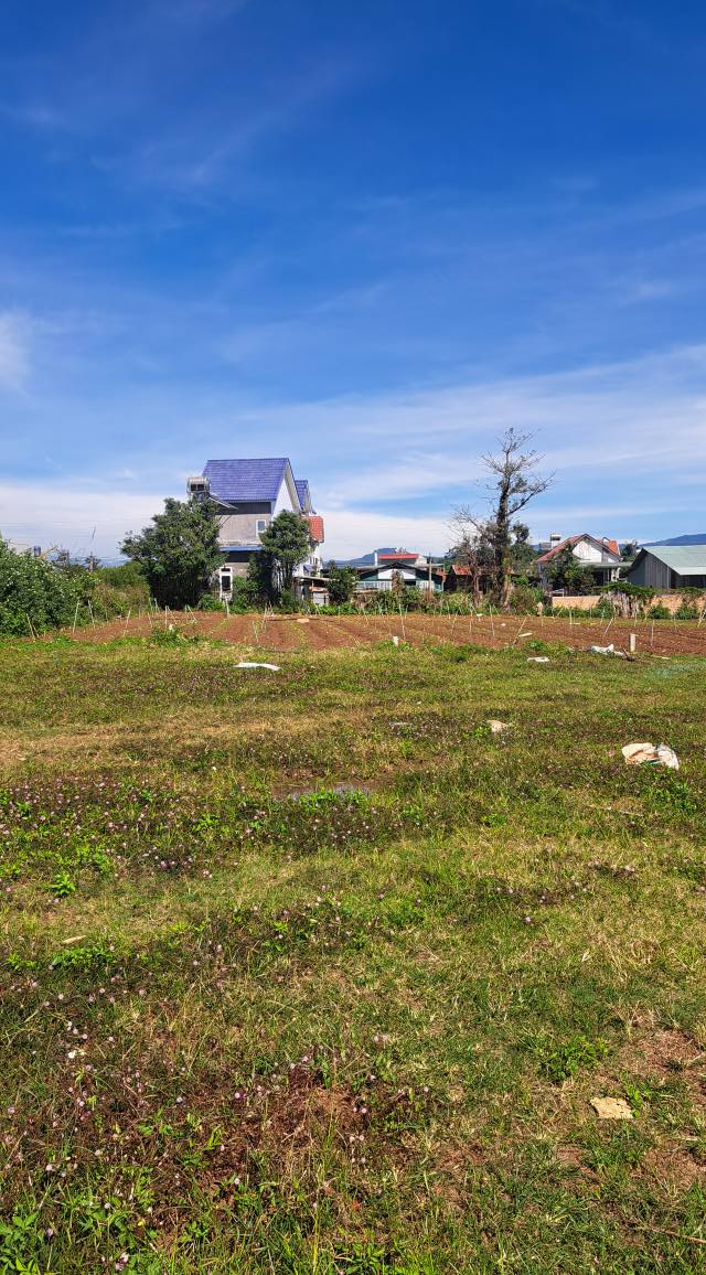 Đất nền Phú Hội, Đức Trọng 100m² chỉ 780 triệu - Đầu tư sinh lời cao!