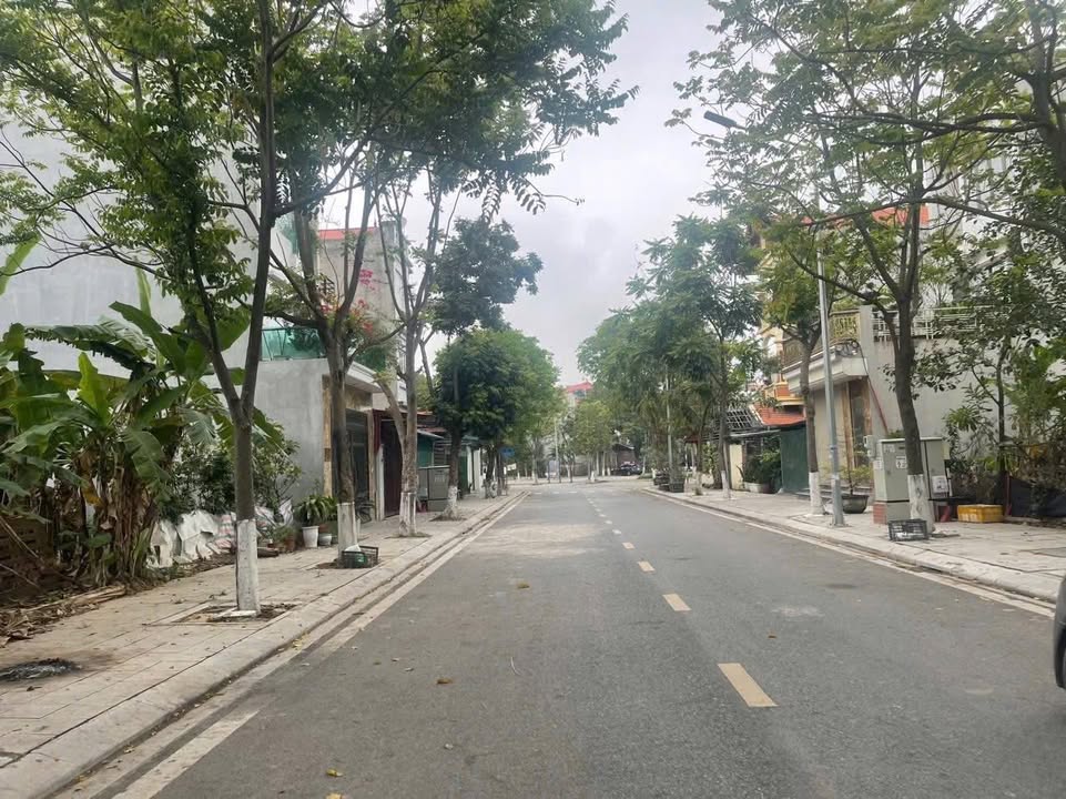 Đất nền Khu Dân Cư Tỉnh Ủy Vĩnh Yên 100m² giá 3 tỷ - Đầu tư sinh lời ngay!