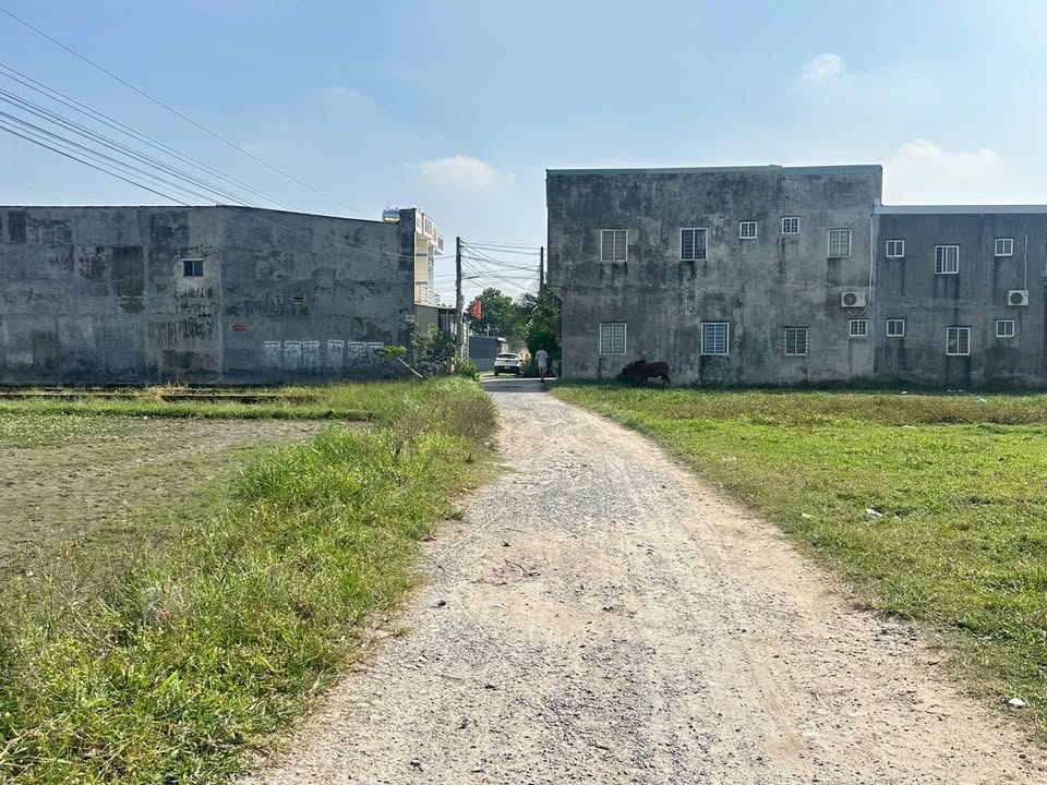 Đất nền 200m² tại xã Mỹ Hạnh Bắc, Đức Hòa - Giá chỉ 1.35 tỷ, đầu tư sinh lời!