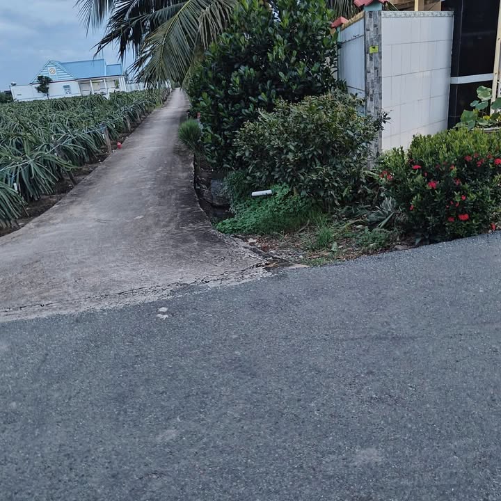 Đất thổ cư An Lục Long, Châu Thành, Long An 100m² giá chỉ 440 triệu - Đầu tư sinh lời ngay!