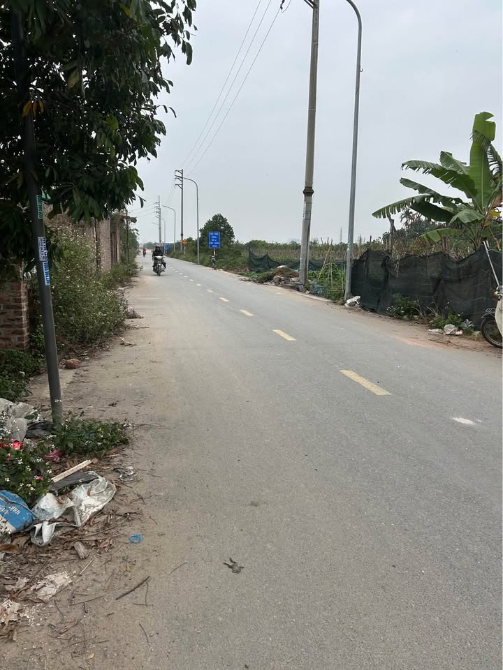 Đất trồng lúa 530m² An Khánh, Hoài Đức - Giá đầu tư hấp dẫn!