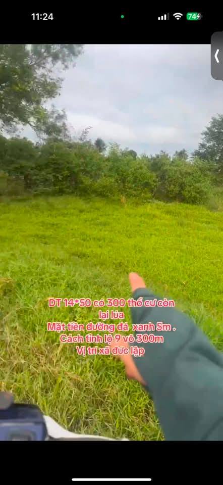 Đất thổ cư 300m² tại xã Đức Lập, giá 2.5 tỷ - Gần tỉnh lộ 9