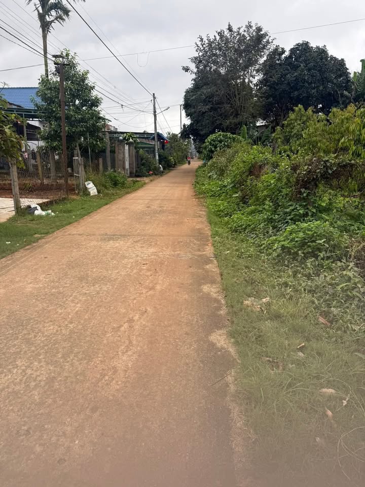 Đất nền Tân Lập Buôn Ma Thuột 220m² giá 1.8 tỷ - Đầu tư sinh lời ngay!