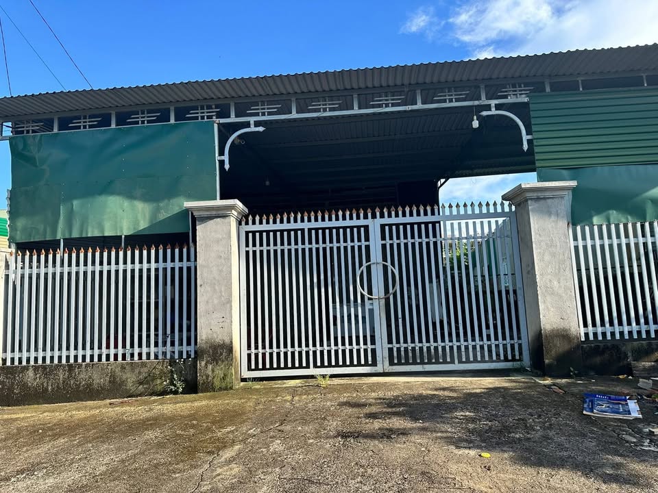 Nhà mặt tiền đường nhựa tại xã Ea Wer, huyện Buôn Đôn 546m² giá chỉ 1.3 tỷ - Sẵn sàng vào ở!