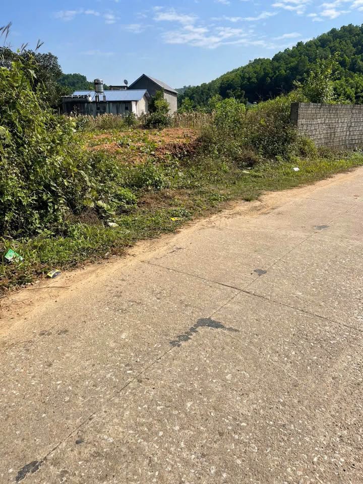 Đất nền Bình Thành, Định Hóa, Thái Nguyên 700m² giá chỉ 200 triệu - Cơ hội đầu tư tuyệt vời!