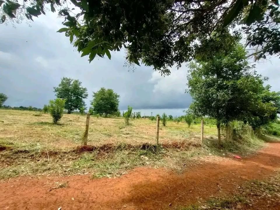 Đất nền Đức Minh Đắk Mil 2160m² giá 2.2 tỷ - Đầu tư sinh lời ngay!