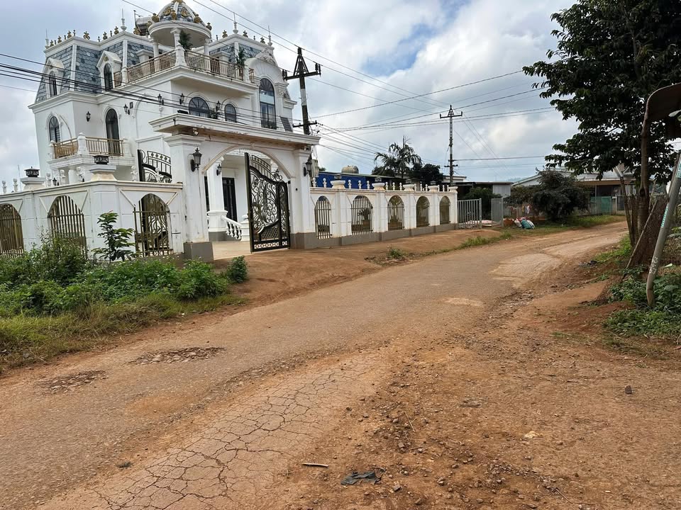 Farm 5 sào Đức Minh Đắk Mil giá 1.7 tỷ - Sổ đỏ chính chủ, tưới ao sẵn sàng!