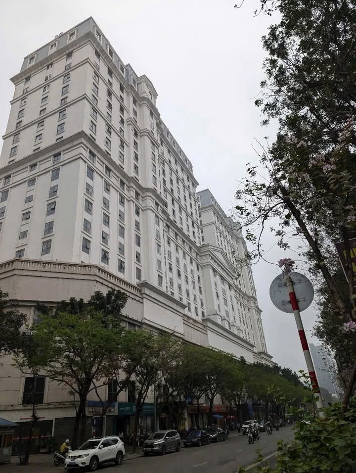 Cho thuê shophouse mặt tiền Trần Văn Lai, Mỹ Đình 374m² - Khu vực sầm uất, phù hợp mọi mô hình kinh doanh!