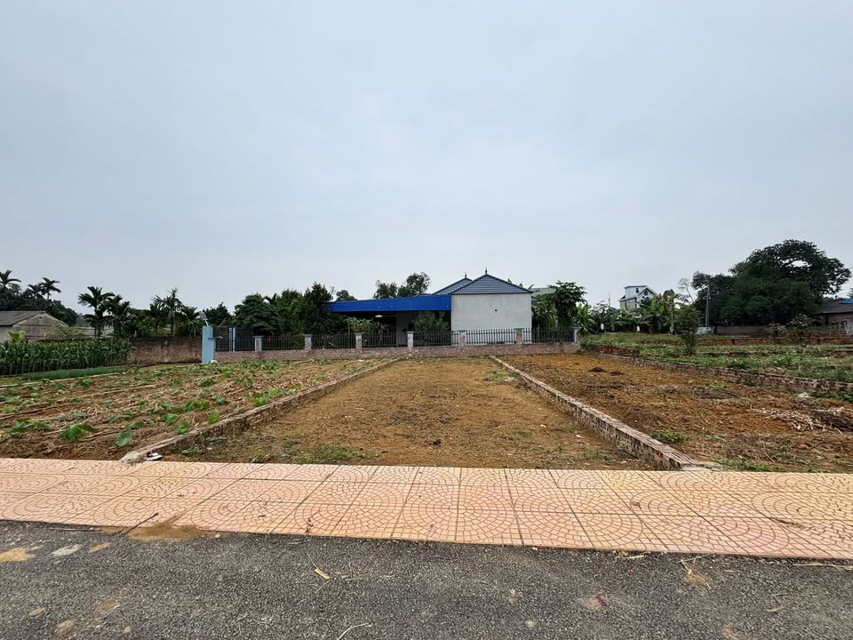 Đất thổ cư Phú Cát 110m² giá 2.2 tỷ - Đầu tư sinh lời ngay!