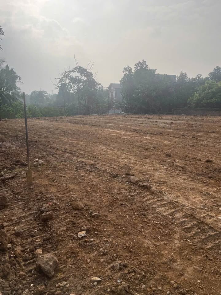 Đất nền Hạ Bằng, Thạch Thất 100m² - Giá đầu tư siêu tiềm năng!