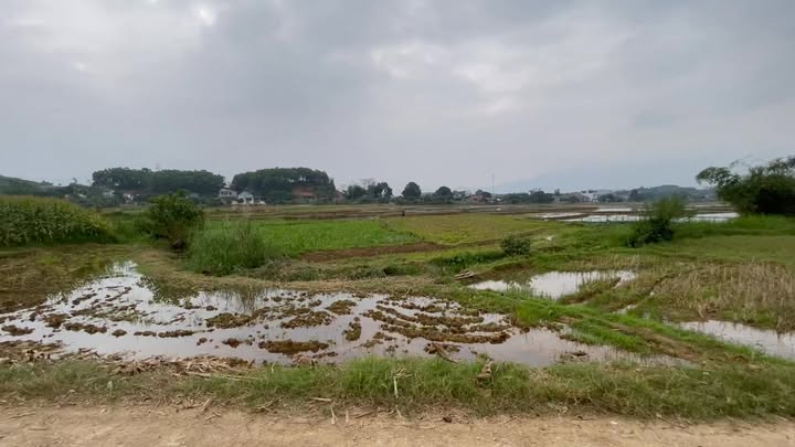 Lô đất nghỉ dưỡng 9.000m² tại Yên Lập, Phú Thọ - View cánh đồng cực đẹp!