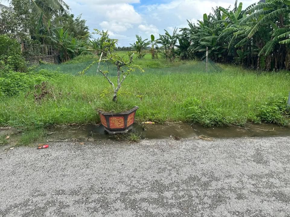 Đất thổ cư Quảng Lưu 184m² giá cắt lỗ - Mặt tiền rộng, giao thông thuận lợi!