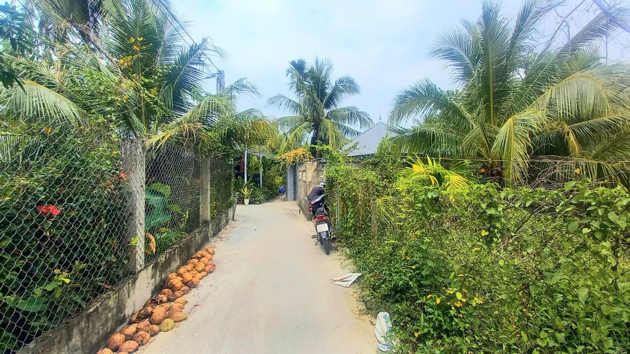 Đất 1200m² – 300m² Thổ Cư – Hướng Tây – Châu Thành, Tiền Giang – Giá 1 tỷ