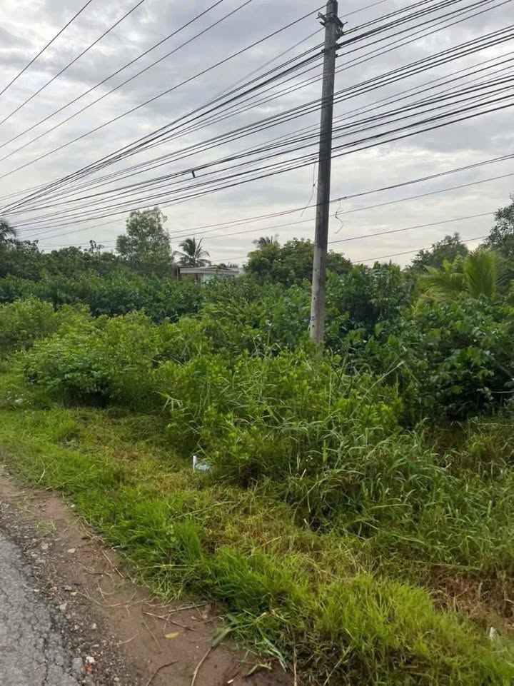 Đất mặt tiền Quốc lộ 57B, xã Long Hòa, huyện Bình Đại, diện tích 8500m² - Cơ hội đầu tư hấp dẫn!