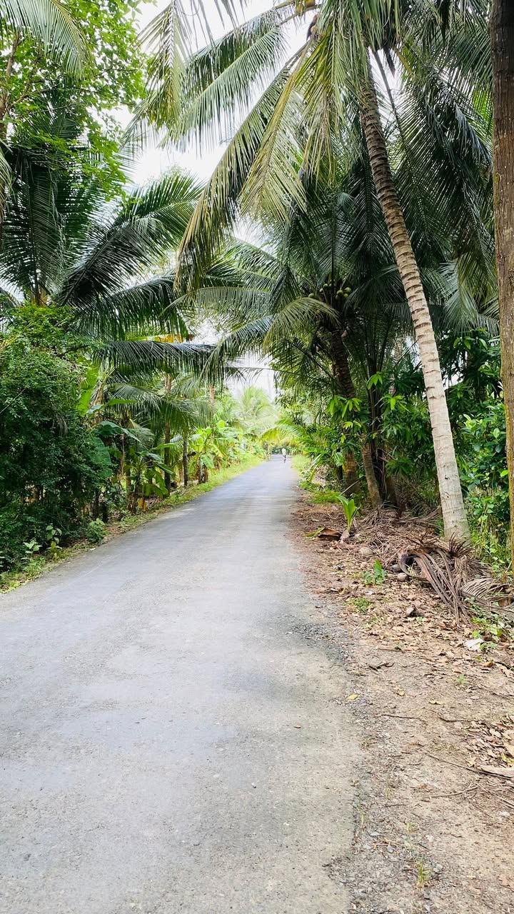 Đất nền xã Nhơn Thạnh, TP Bến Tre 390m² giá 1.25 tỷ - Pháp lý rõ ràng!