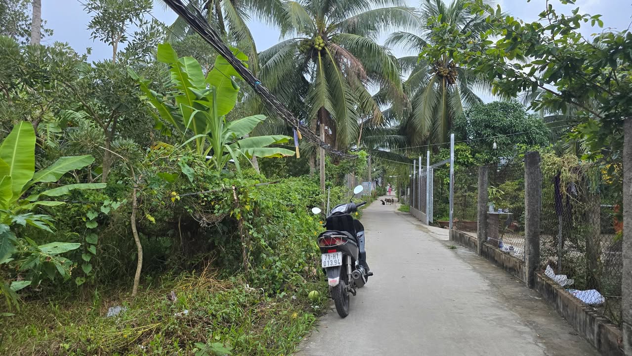 Đất 1055m² tại An Phước, Châu Thành, Bến Tre - Đầu tư sinh lời ngay!