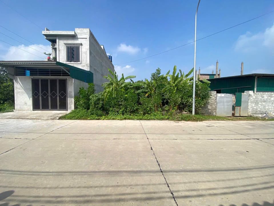 Đất nền mặt tiền đường 10m tại Chuyên Mỹ, Thường Tín, 125m² - Tiềm năng kinh doanh vượt trội!