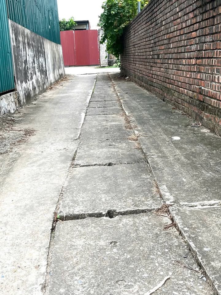 Đất thổ cư Thư Phú, Thường Tín 61.5m² giá 3 tỷ - Đường thông xe tải tránh!