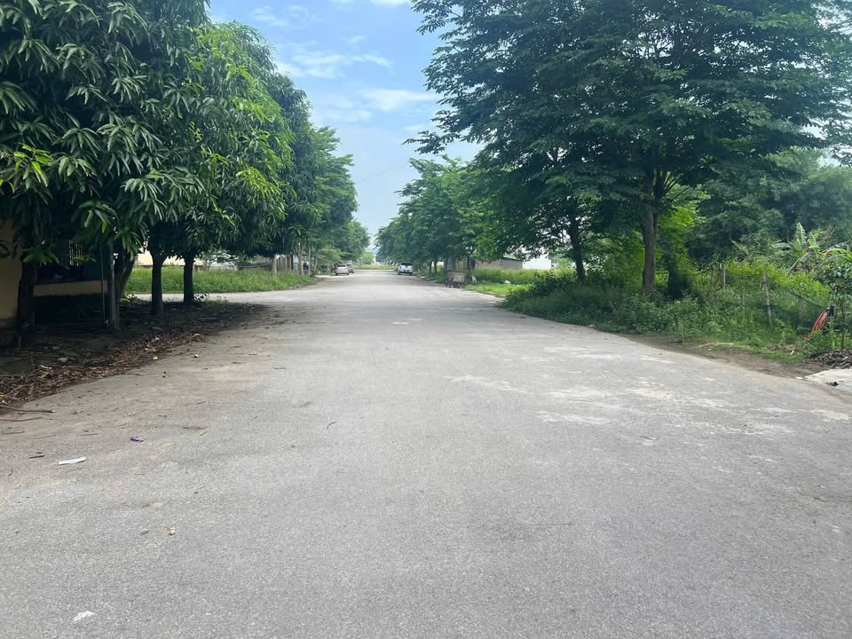 Đất nền Tecco Nghi Kim 160m² giá 4 tỷ - Đối diện chung cư, kinh doanh tiềm năng!