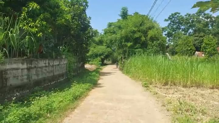 Đất nền liền kề Nghĩa Minh 507m² giá cực rẻ - Cơ hội đầu tư hấp dẫn!