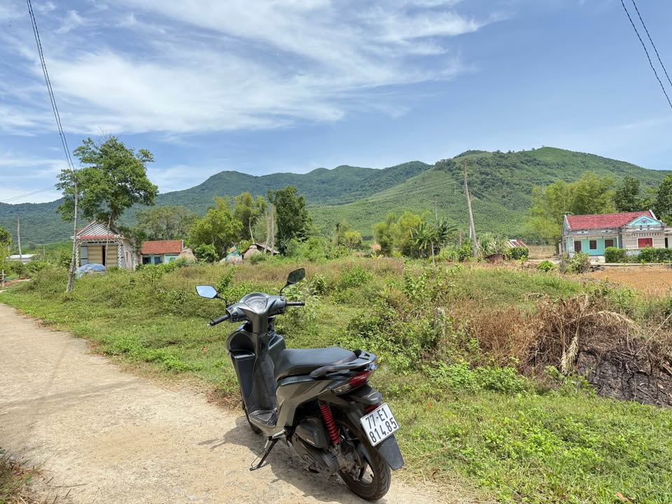 Đất thổ cư 100m² tại Mỹ Hiệp, Phù Mỹ - Giá tốt, sổ hồng chính chủ!