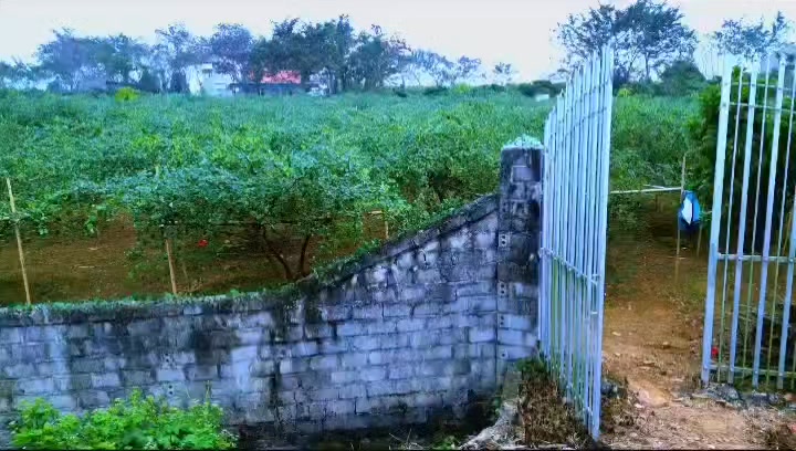 Đất vườn Kiên Thành, Lục Ngạn 2911m² giá chỉ 1 tỷ - Sổ hồng đầy đủ!