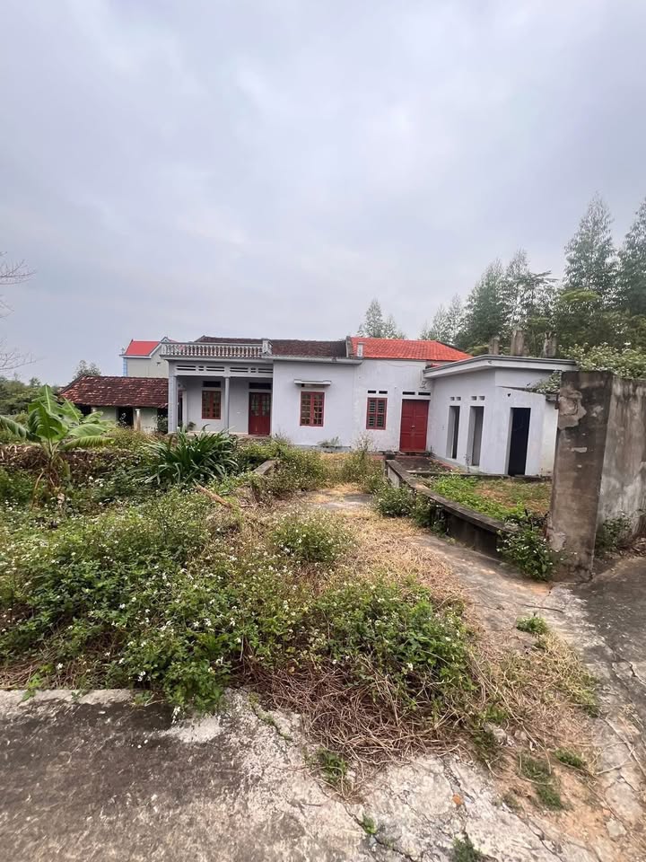 Bán đất Lan Mẫu Lục Nam 370m² - Đầu tư sinh lời tiềm năng!