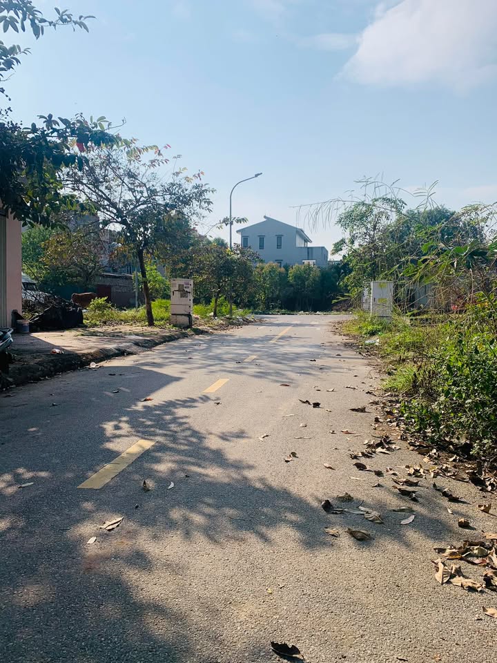 Đất nền tại Đa Mai, Bắc Giang 90m² giá 2.65 tỷ - Đầu tư sinh lời ngay!