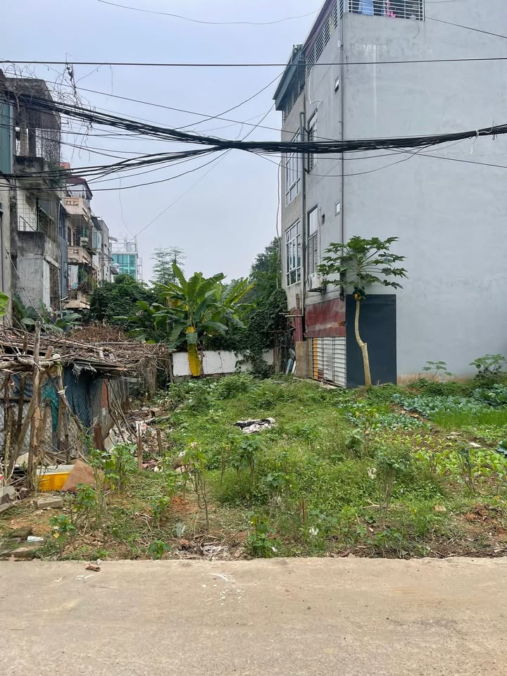 Đất nền chính chủ tại trung tâm TP. Việt Trì 86m² giá 4.5 tỷ - Cơ hội đầu tư tuyệt vời!